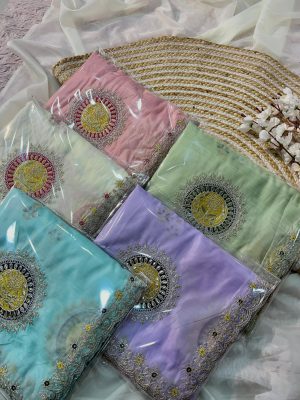 Heavy Multi Daga Pitta & Gota Embroidery Work Saree